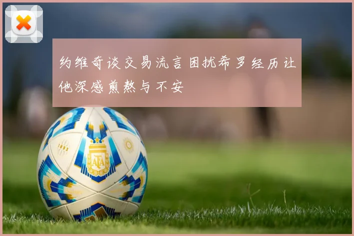 约维奇谈交易流言困扰希罗经历让他深感煎熬与不安