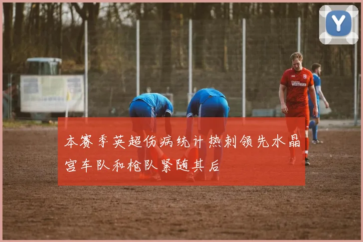 本赛季英超伤病统计热刺领先水晶宫车队和枪队紧随其后